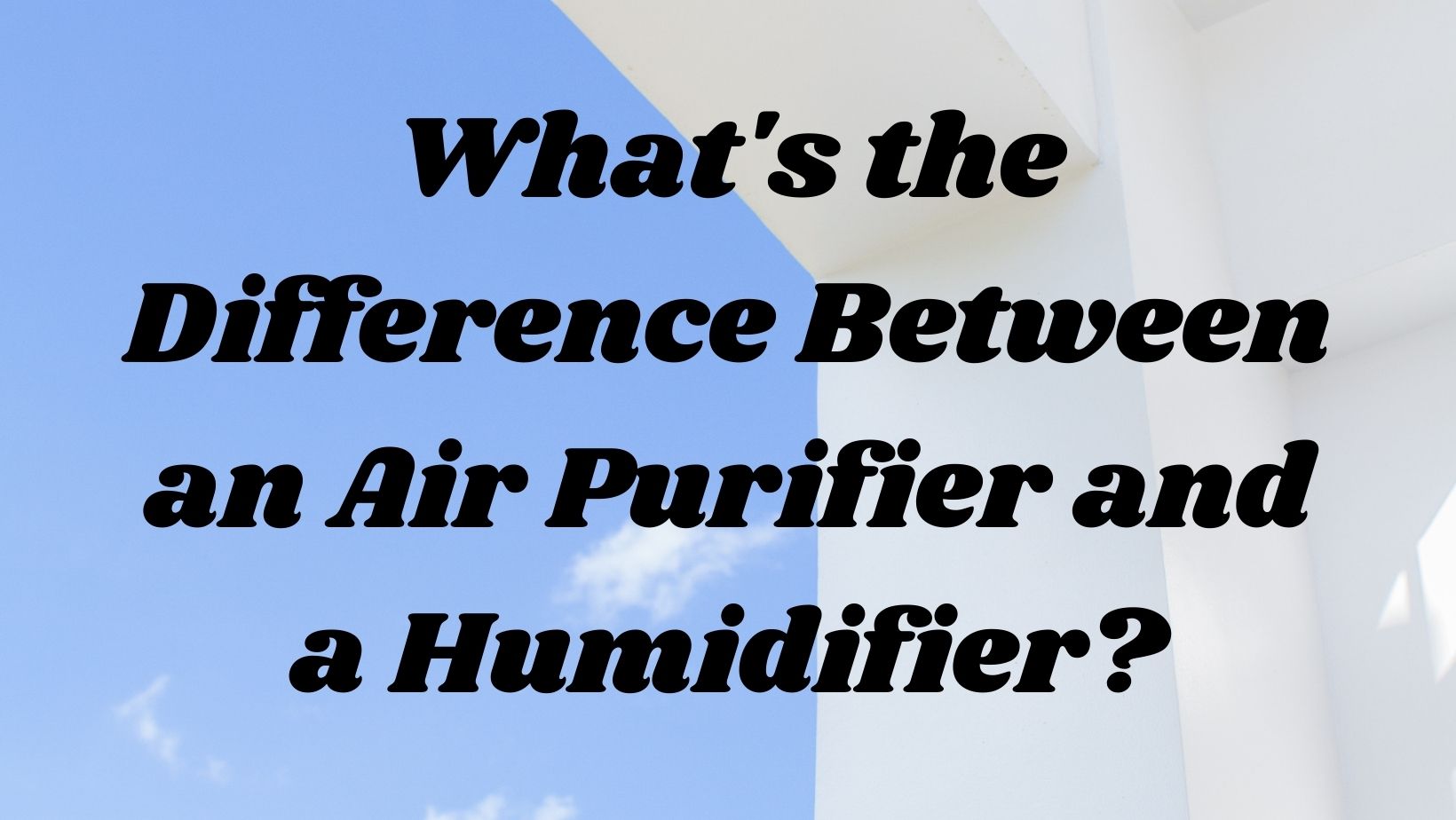What's the Difference Between an Air Purifier and a Humidifier